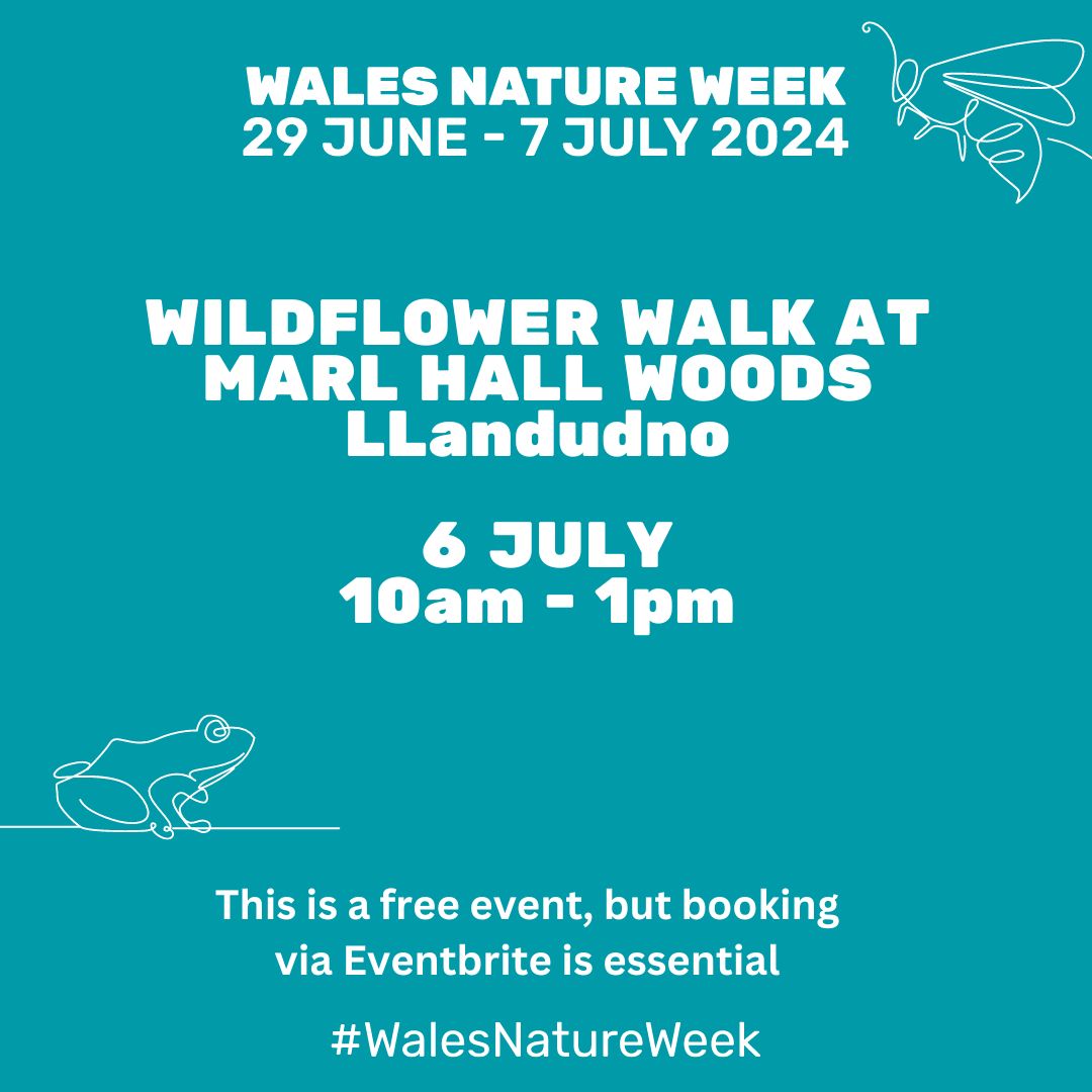 WILDFLOWER WALK AT MARL HALL WOODS